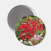 Red Roses magnet (Voorkant / Achterkant)