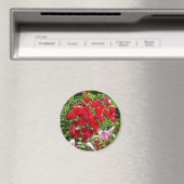 Red Roses magnet (Insitu (Vaatwasser))