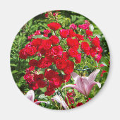 Red Roses magnet (Voorkant)