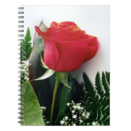 Red roses notitieboek (Voorkant)
