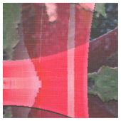 Red Roses of Love.... Stof (Close Up)