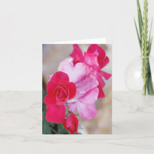 Red Roses Photo Folded Note Kaart