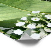 Red roses poster (Hoek)