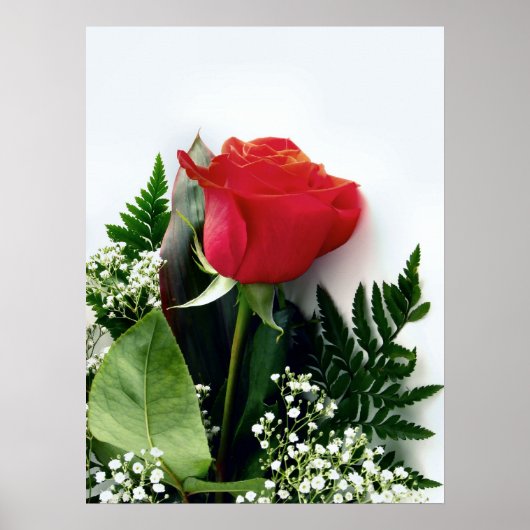 Red roses poster (Voorkant)