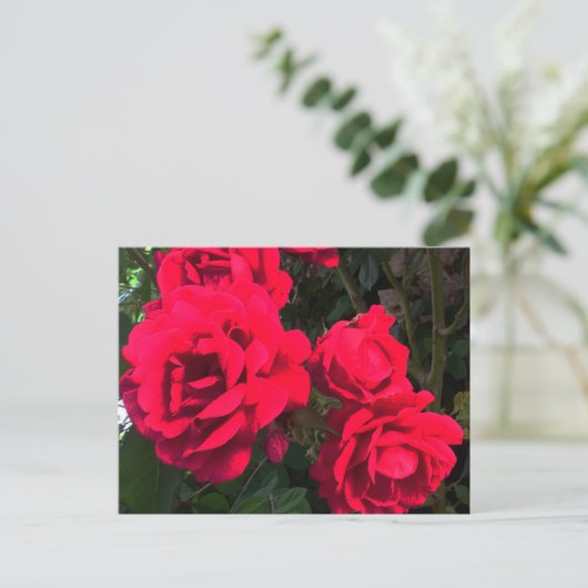 Red Roses Rosarium Briefkaart (Staand voorkant)