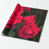Red Roses Rosarium Cadeaupapier (Uitgerold)