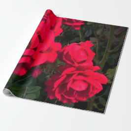 Red Roses Rosarium Cadeaupapier