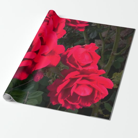 Red Roses Rosarium Cadeaupapier (Uitgerold)