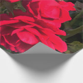 Red Roses Rosarium Cadeaupapier (Hoek)