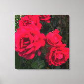 Red Roses Rosarium Canvas Afdruk (Voorkant)