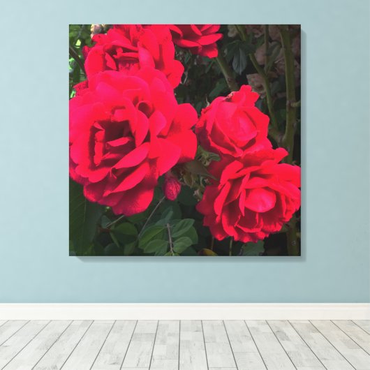 Red Roses Rosarium Canvas Afdruk (Insitu (Houten vloer))