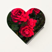 Red Roses Rosarium Heart-vormig Notitieboek (Achterkant)
