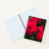 Red Roses Rosarium Notitieboek (Binnen)