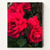 Red Roses Rosarium Notitieboek (Achterkant)