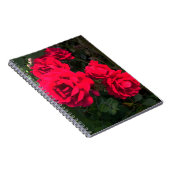 Red Roses Rosarium Notitieboek (Rechterzijde)
