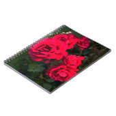 Red Roses Rosarium Notitieboek (Linkerzijde)