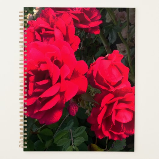 Red Roses Rosarium Planner (Voorkant)