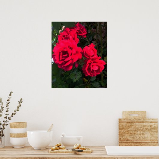 Red Roses Rosarium Poster (Keuken)