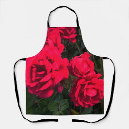 Red Roses Rosarium Schort