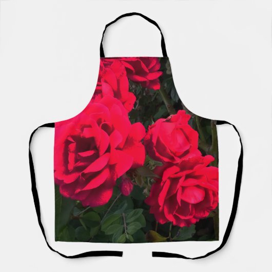 Red Roses Rosarium Schort (Voorkant)