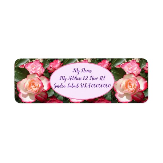 Red Roses Rozen Witte bloemenhuisje tuin Etiket (Voorkant)