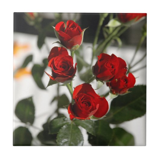 Red roses tegeltje (Voorkant)