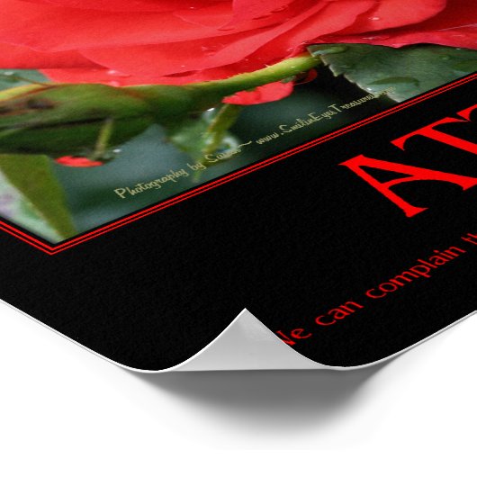 Red Roses Thorns Inspirerend Attitude Quote Poster (Hoek)