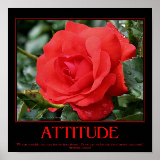 Red Roses Thorns Inspirerend Attitude Quote Poster (Voorkant)
