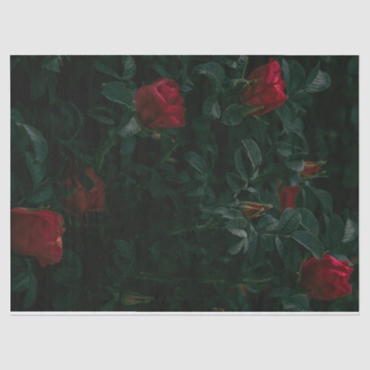 Red Roses Tissue Paper Decoupage Giftwrapping Tissuepapier (Voorkant)