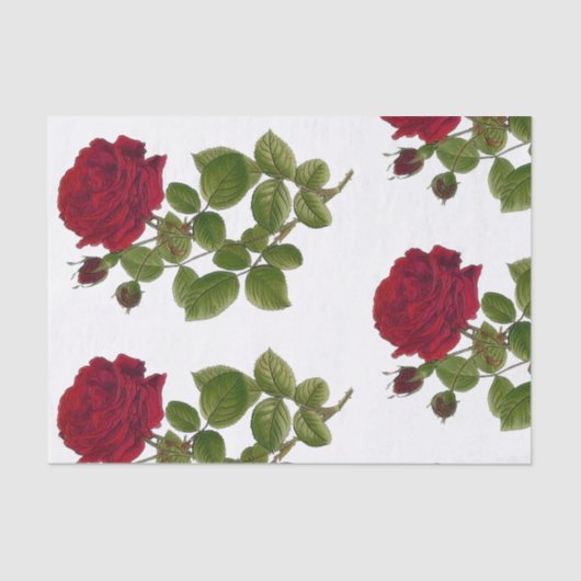 Red Roses Tuinpapier 10 x 15 inch Tissuepapier (Voorkant)
