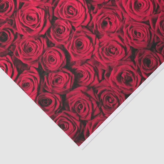 Red Roses Valentijn Tissuepapier (Detail)