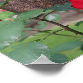 Red Roses Voeg Jouw tekst gepersonaliseerd Poster (Hoek)