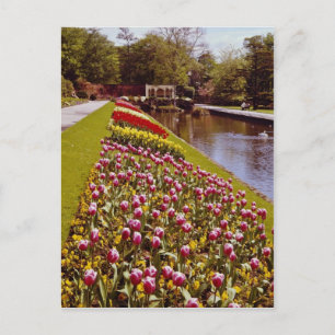 Red Roundhay Park, Leeds, Engeland bloemen Briefkaart