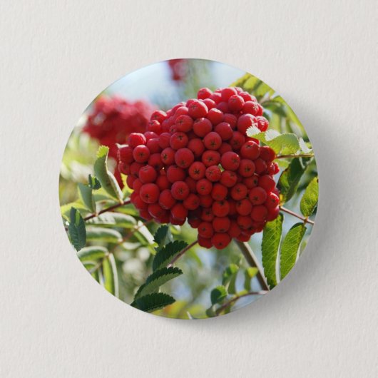 Red Rowan Berries Ronde Button 5,7 Cm (Voorkant)