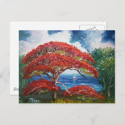 Red Royal Poinciana Tree en Sailboat Briefkaart (Voorkant / Achterkant)