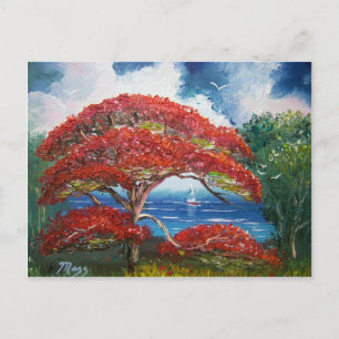 Red Royal Poinciana Tree en Sailboat Briefkaart