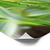 RED RUDBECKIA FLOWERS FOTO AFDRUK (Hoek)