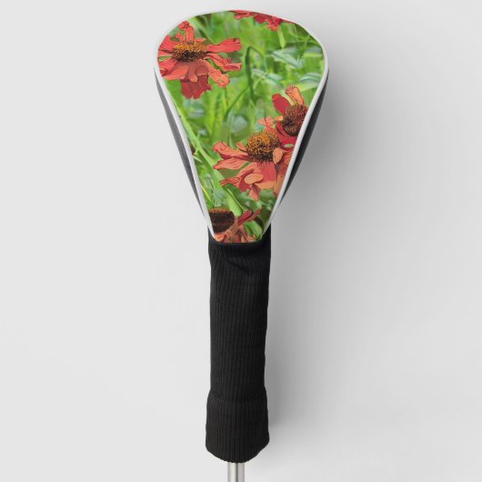 RED RUDBECKIA FLOWERS GOLFHEADCOVER (Voorkant)