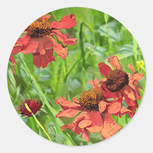 RED RUDBECKIA FLOWERS RONDE STICKER (Voorkant)