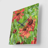 RED RUDBECKIA FLOWERS VIERKANTE KLOK (Hoek)