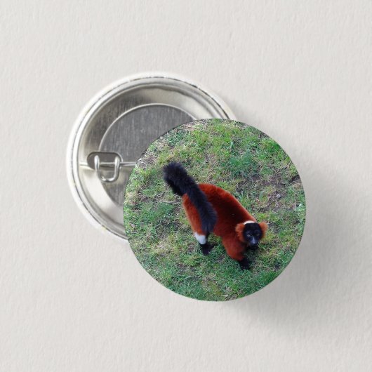 Red Ruffed Lemur #1 Pinback Button (Voorkant /achterkant)