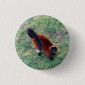 Red Ruffed Lemur #1 Pinback Button (Voorkant)