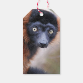 Red Ruffed Lemur Cadeaulabel