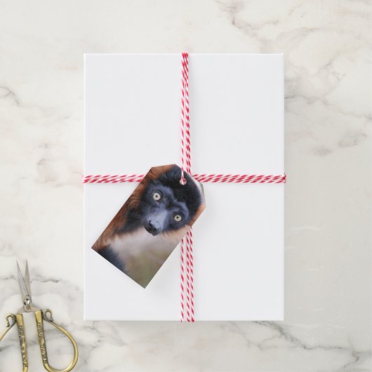 Red Ruffed Lemur Cadeaulabel (Met Touw)