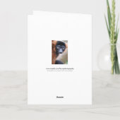 Red Ruffed Lemur-kerstkaart Feestdagen Kaart (Achterkant)