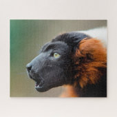 Red Ruffed Lemur. Legpuzzel (Horizontaal)