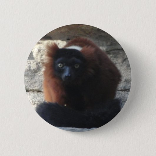 Red Ruffed Lemur Ronde Button 5,7 Cm (Voorkant)