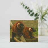 Red Ruffed Lemurs in Woodland Light Briefkaart (Staand voorkant)