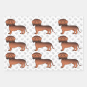 Red Sable Smooth Coat Dachshund Cute Dog Patroon Inpakpapier Vel (Voorkant 3)
