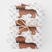 Red Sable Smooth Coat Dachshund Cute Dog Patroon Inpakpapier Vel (In situ)